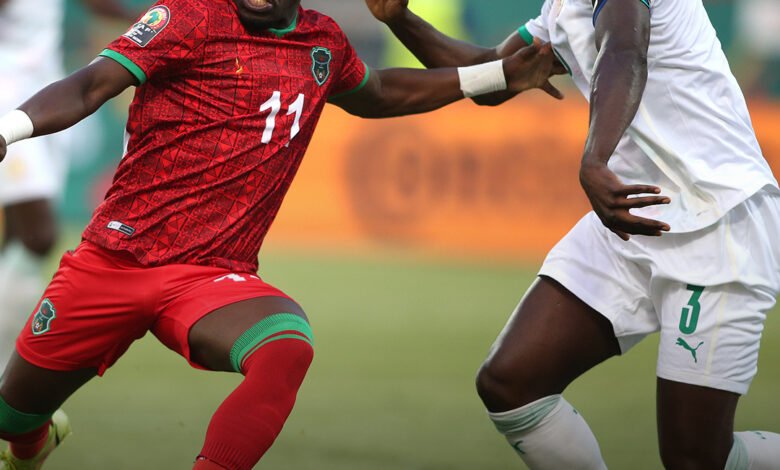 السنغال وغينيا