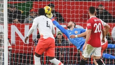 دي خيا و ماغواير