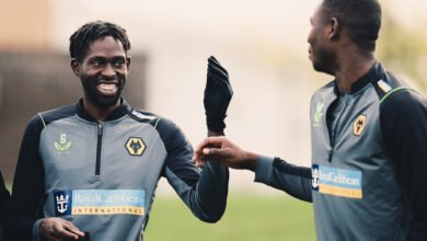 برايتون و وولفرهامبتون