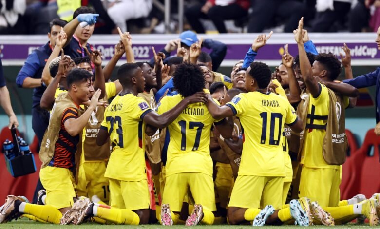 قطر الاكوادور