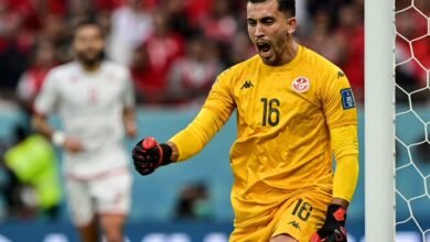 المنتخب الدنماركي