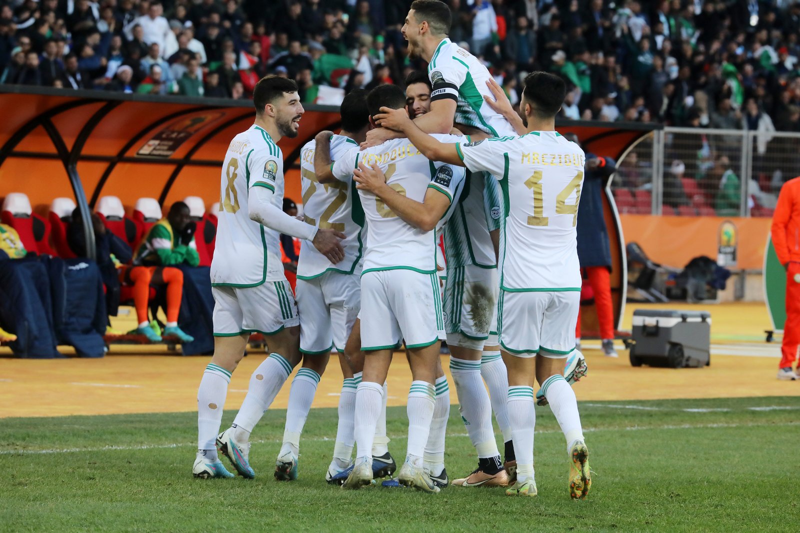 الجزائر والسنغال