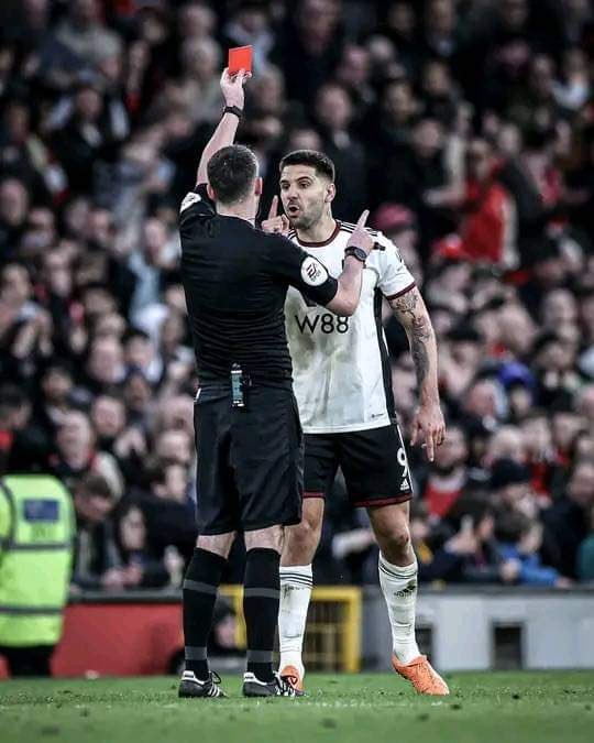 ألكسندر ميتروفيتش