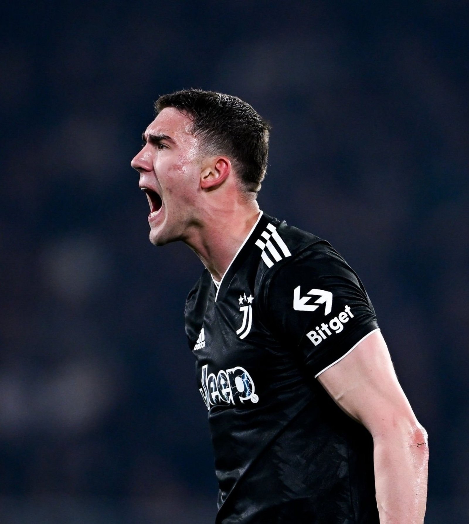 اللاعب دوسان فلاهوفيتش