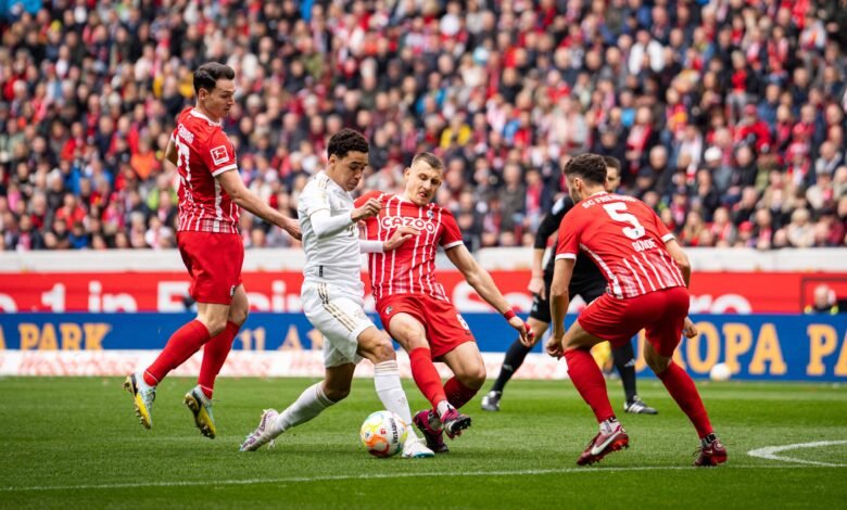 بايرن ميونخ فرايبورغ