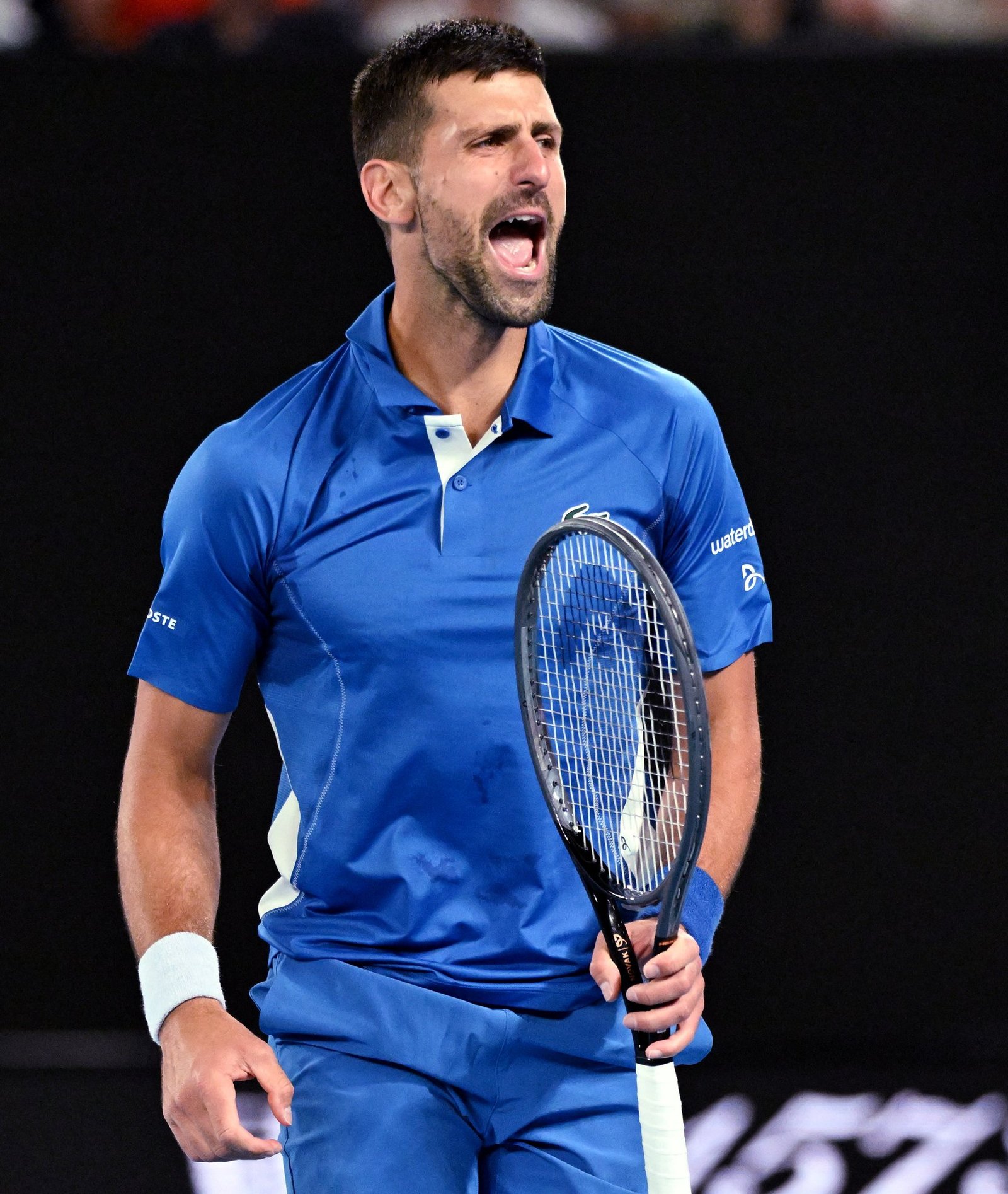 نوفاك دجوكوفيتش