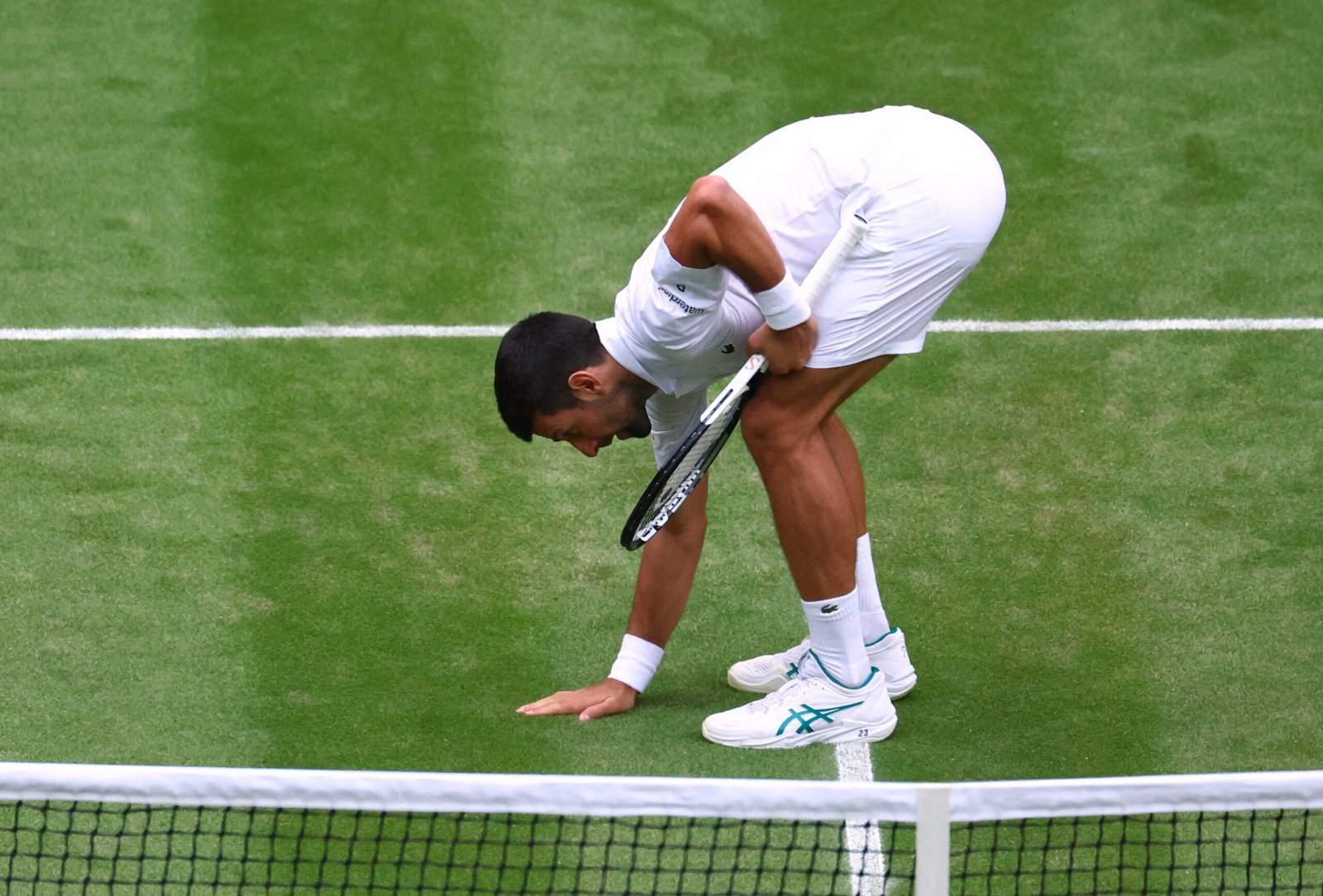 نوفاك دجوكوفيتش