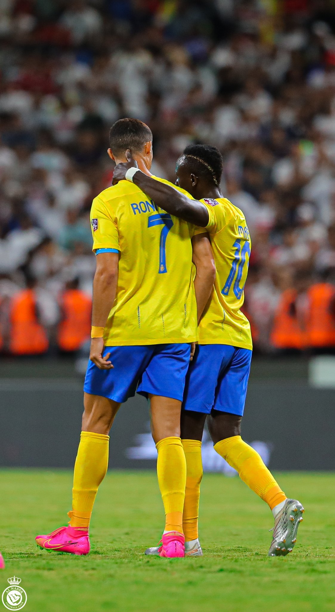 كأس الملك سلمان 