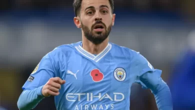 بيرناردو سيلفا