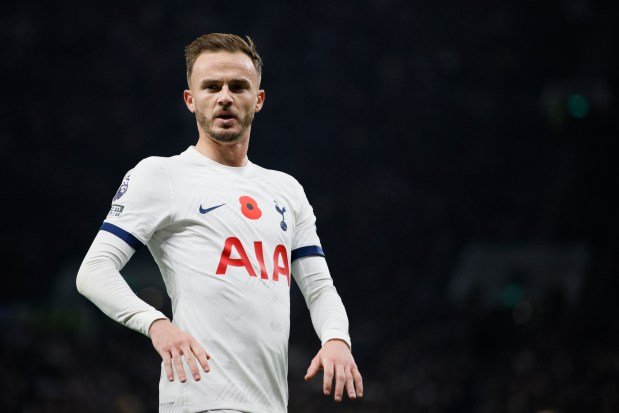 جيمس ماديسون