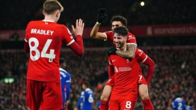 كونور برادلي