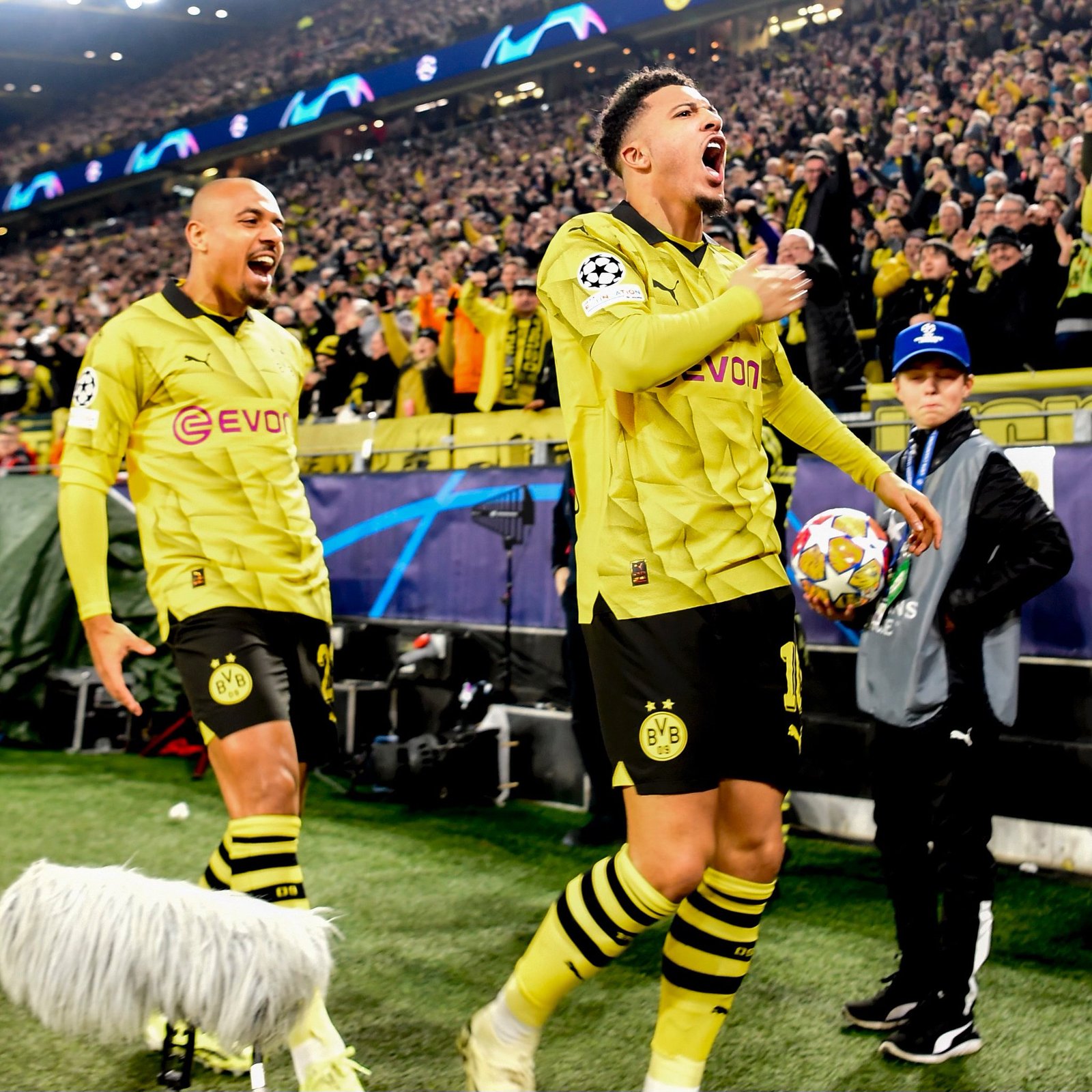 بوروسيا دورتموند 