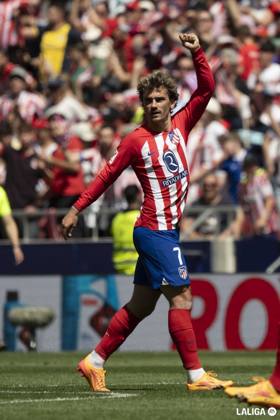 اتلتيكو مدريد