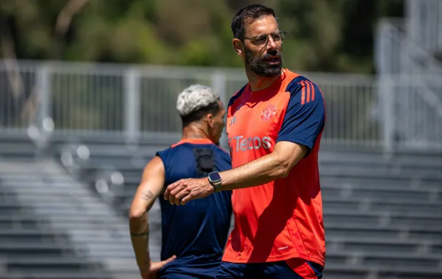 فان نيستلروي