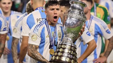 إنزو فيرنانديز