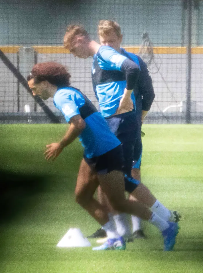 كول بالمر وكوكوريلا