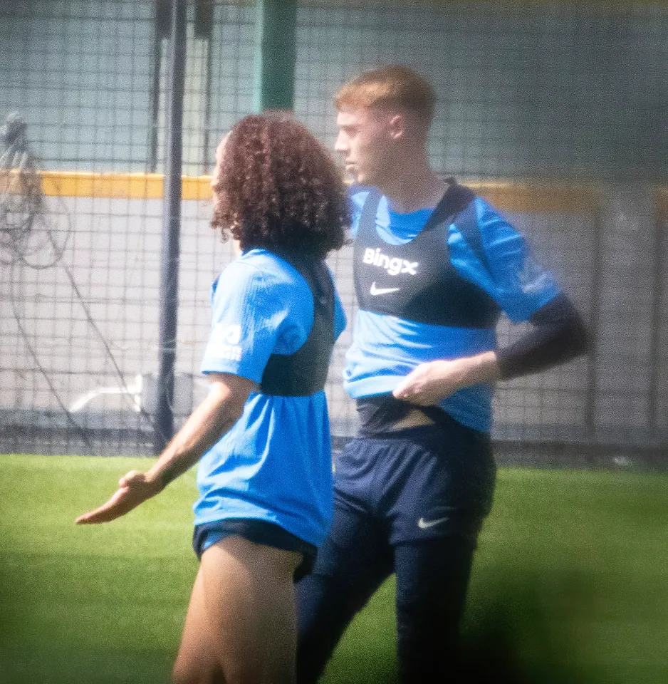 كول بالمر وكوكوريلا