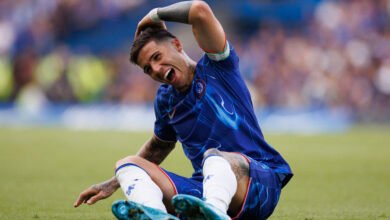 إنزو فيرنانديز