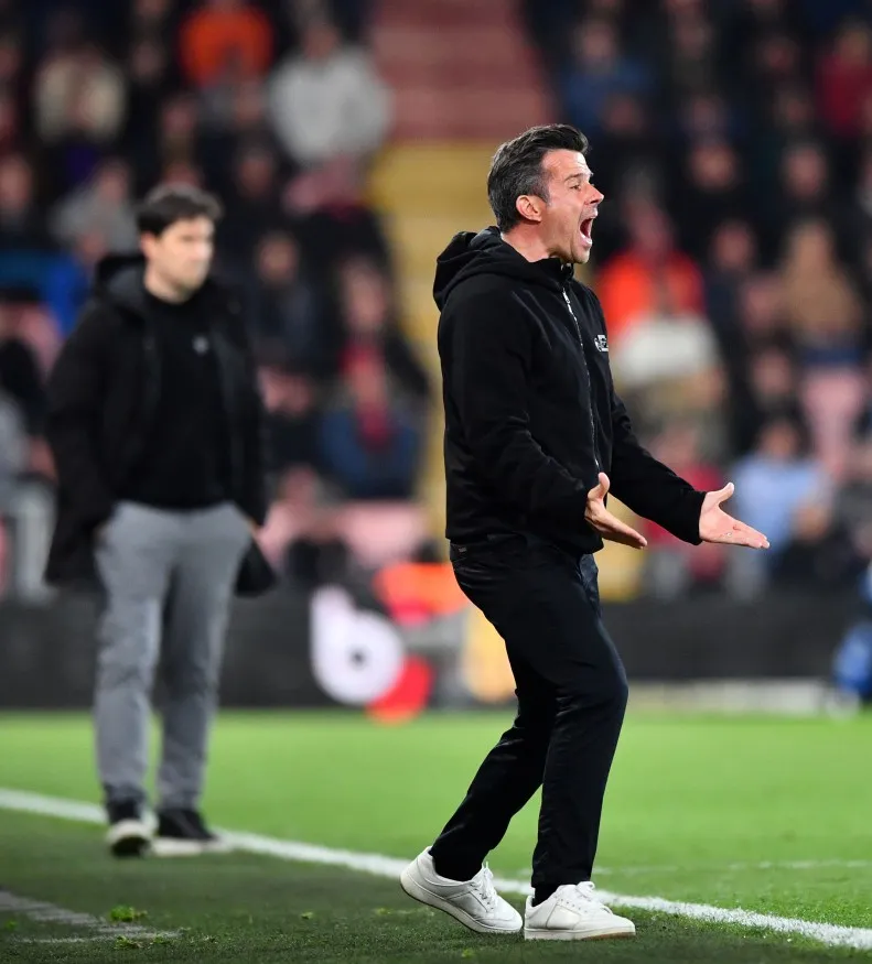 ماركو سيلفا