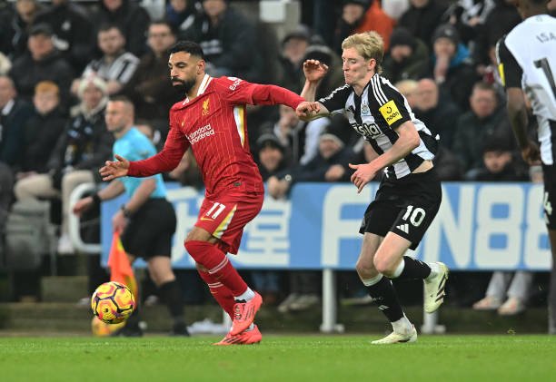 أنطوني غوردون